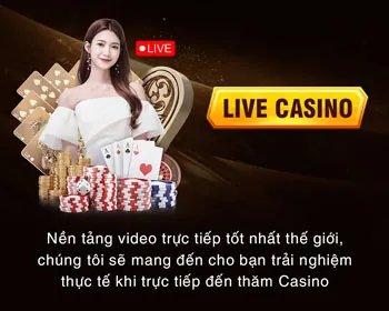 Giấy phép hoạt động vb68 win